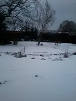 WinterI28_3_13.webp