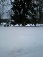 WinterII28_3_13.webp