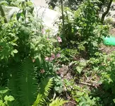 P1040480.webp