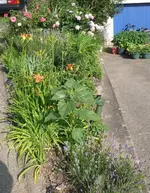 Blumenbeet1.webp