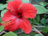 DSC00691_.webp