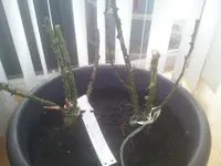 20130328_145918.webp