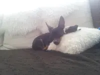 20130328_151439.webp