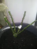 20130328_145906.webp