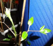 DSC01112.webp