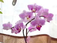 DSC01133.webp