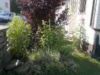 2012-07-25-680.webp