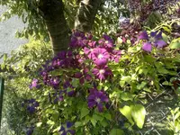 2012-07-25-694.webp
