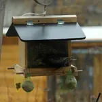 comp_DSC02312.webp