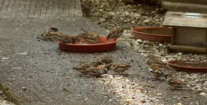 comp_DSC02315.webp