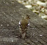 comp_DSC02336.webp