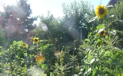 P1040860.webp