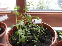 SAM_0572.webp