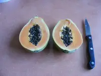 Tropische Frucht.webp