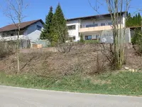 Möchtegernwald.webp