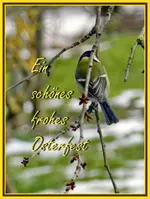 Kohlmeise_1192Ostern.webp