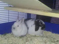 20130331_085651.webp