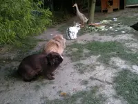 2012-08-03-836.webp
