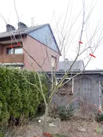 1_1.webp