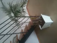 Foto.webp