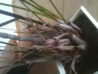 Foto Kopie.webp