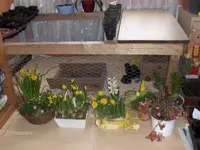 HPIM9219.webp