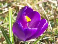 092.webp