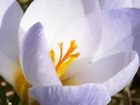 121.webp