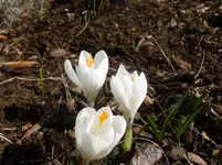 P1050089.webp