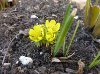 P1050100.webp
