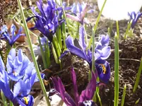 P1050127.webp