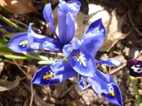 P1050130.webp