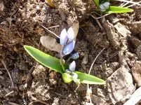 P1050131.webp