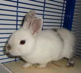 DSC01149.webp