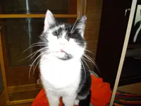 IMGP0132.webp