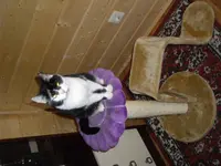IMGP0179.webp