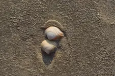 10-Auch in der Natur.webp