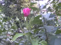 BILD0922.webp