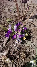 WP_20130402_001.webp