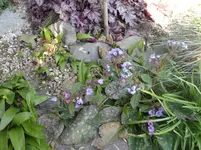 SAM_1144.webp