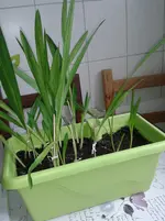 20130403_113528.webp