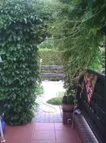 Terrasse innen.webp