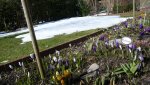 K800_Frühling 2013 002.JPG