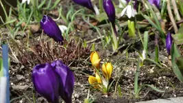 K800_Frühling 2013 003.webp