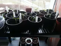 20130403_172310[1].webp