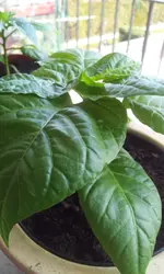 20130402_141350.webp