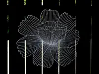 Copy of Copy of IMG_6799v.webp