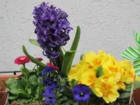 010.webp