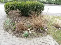 P4033001_zpsdc887d0e.webp