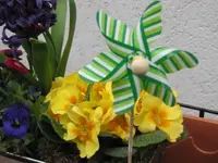 011.webp